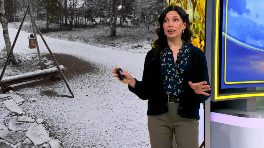 Liisa Rintaniemi eronnut – ajankohtainen tieto ja todellinen tilanne